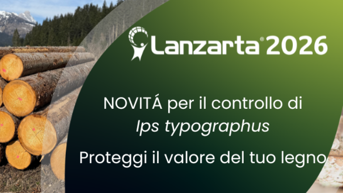lanzarta reg emergenza