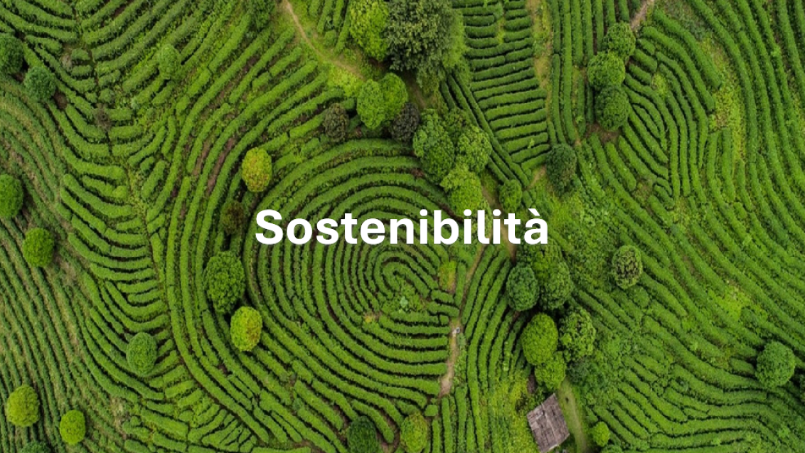 teaser sostenibilità 