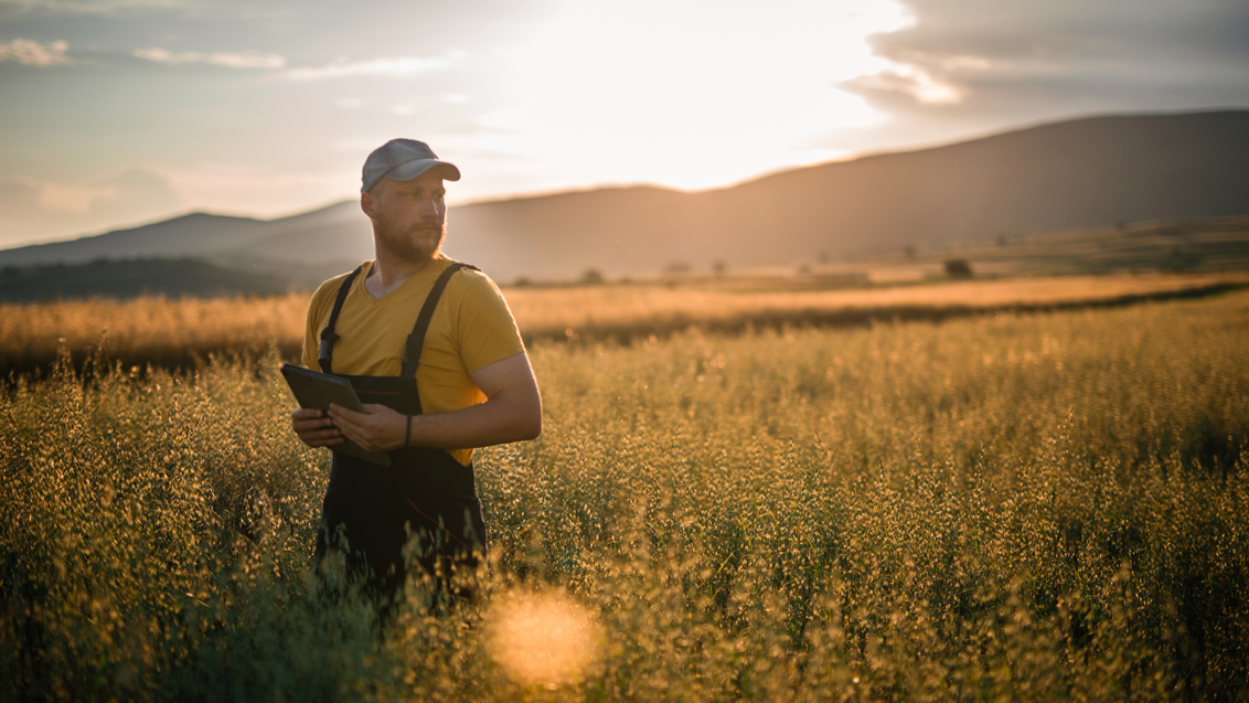 Uomo in cappello e gilet giallo in un campo al tramonto, montagne sullo sfondo