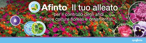 AFINTO - Florovivaismo | Syngenta Italia
