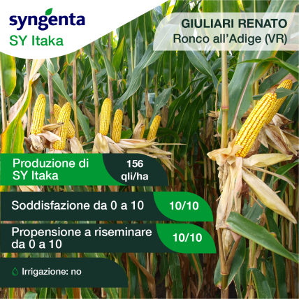 giuliari renato verona