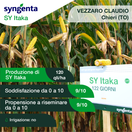 risultati itaka chieri torino