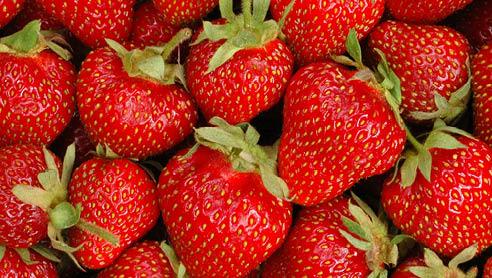 55 fragola 492x278