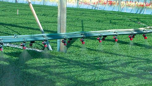 agrofarmaci 492x278