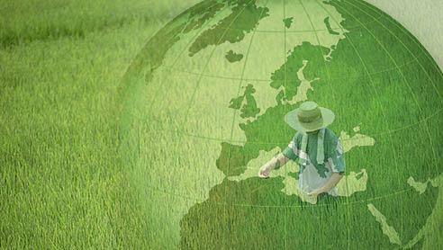 syngenta mondo 492x278