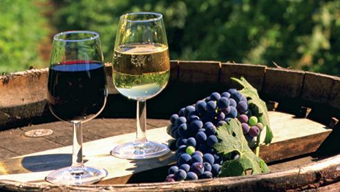protocolli filiera vinicola 492x278 16431