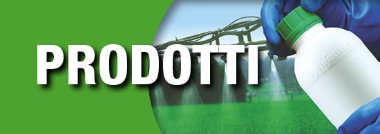 bottoni 550x194