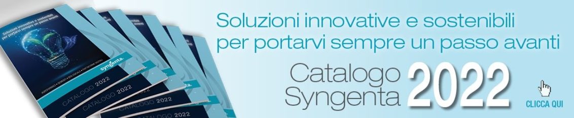 Catalogo Syngenta 2022