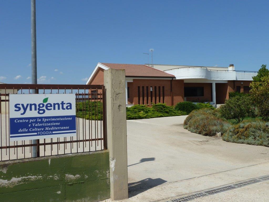 FOGGIA