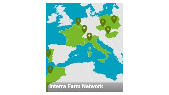 NETWORK INTERRA