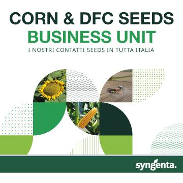 Syngenta Seeds