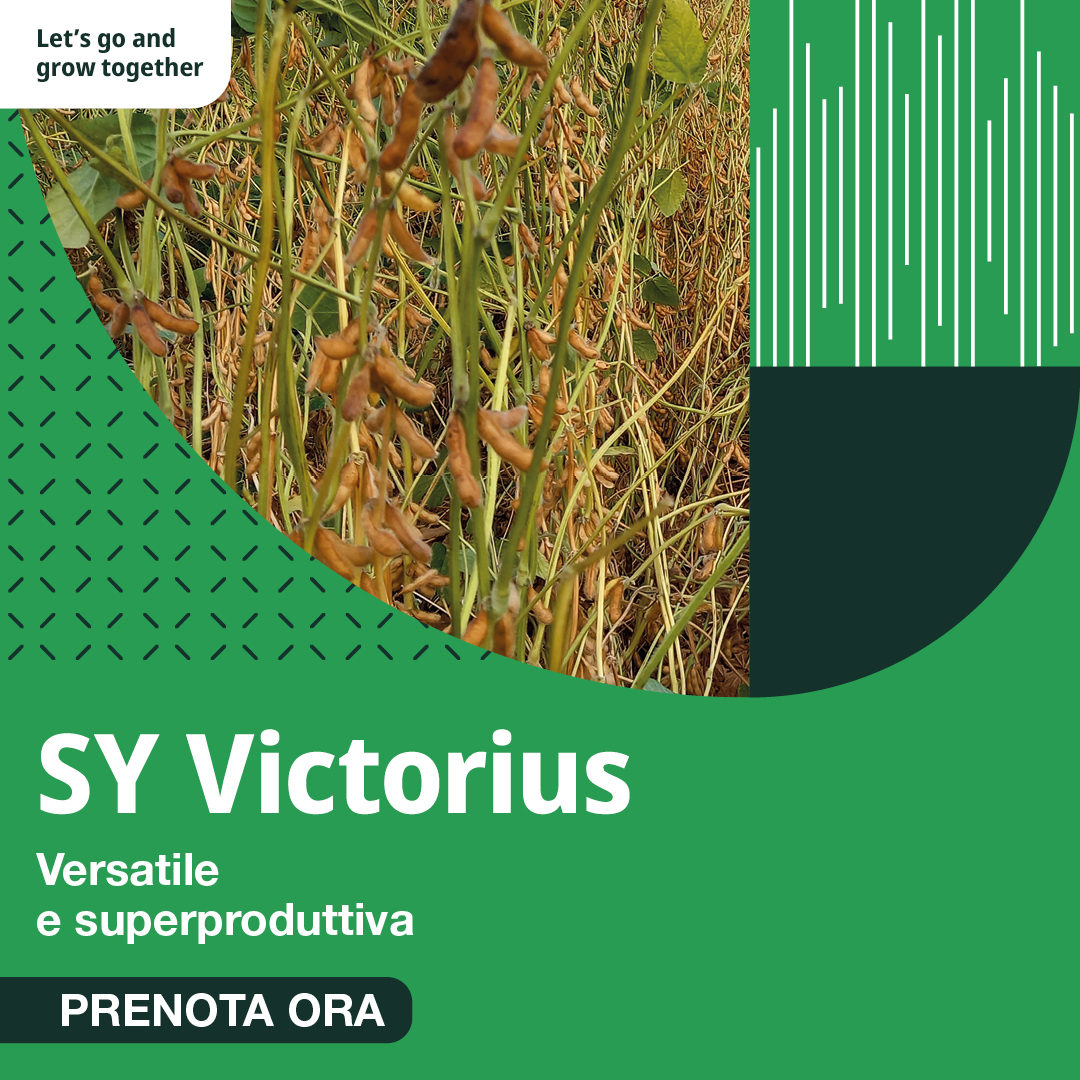 Sy Victorius