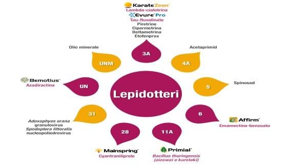 Gestione resistenze - Lepidotteri
