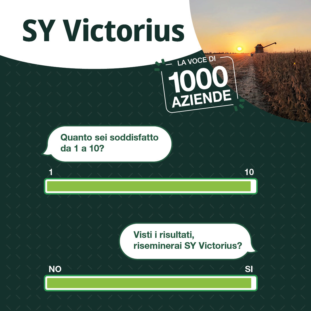 victorius survey