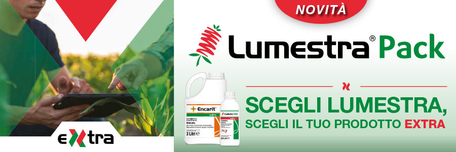 lumestra pack banner seeds