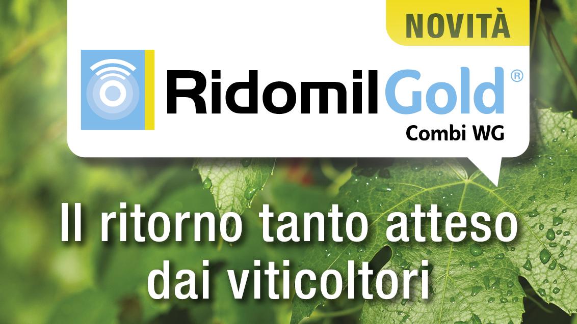 ridomil gold combi wg per la vite 