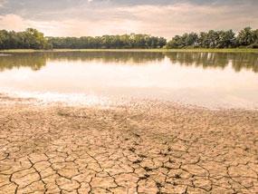 scarsita idrica soluzioni syngenta 