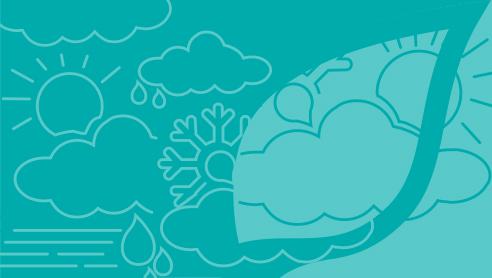 Logo Meteo