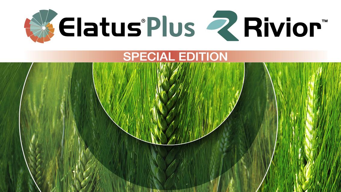 Elatus_plus_Rivior_banner_big