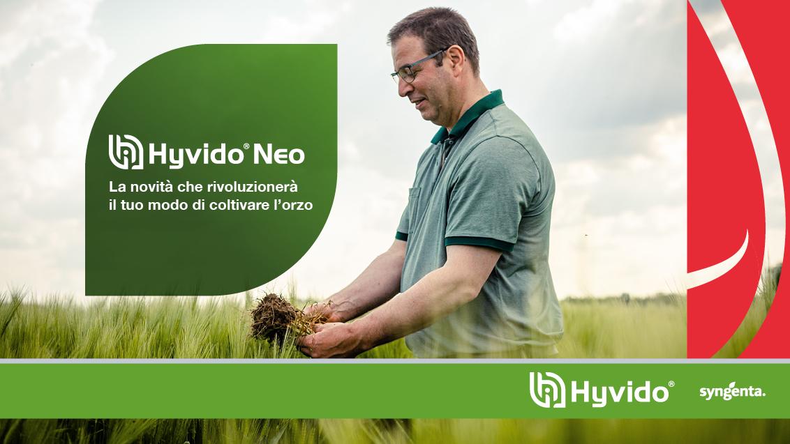 HYVIDO® Neo - orzi ibridi resistenti a virus BYDV 