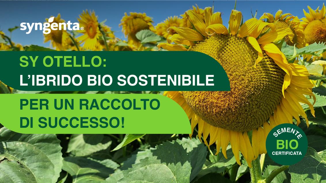 otello bio