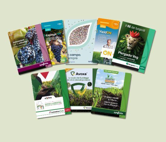 new brochure