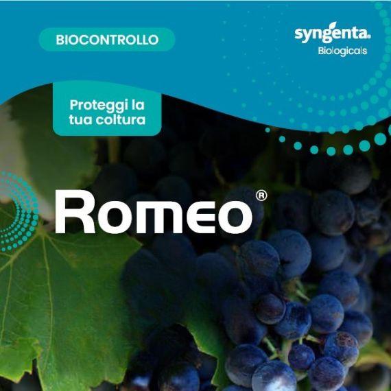 Copertina Brochure Romeo 570x570