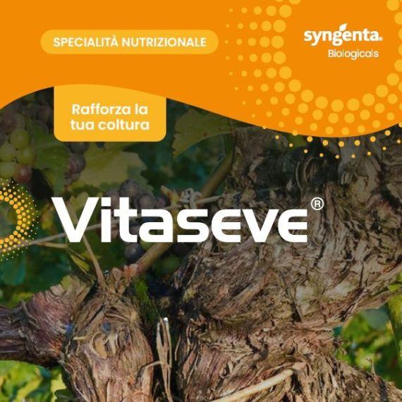 copertina brochure Vitaseve