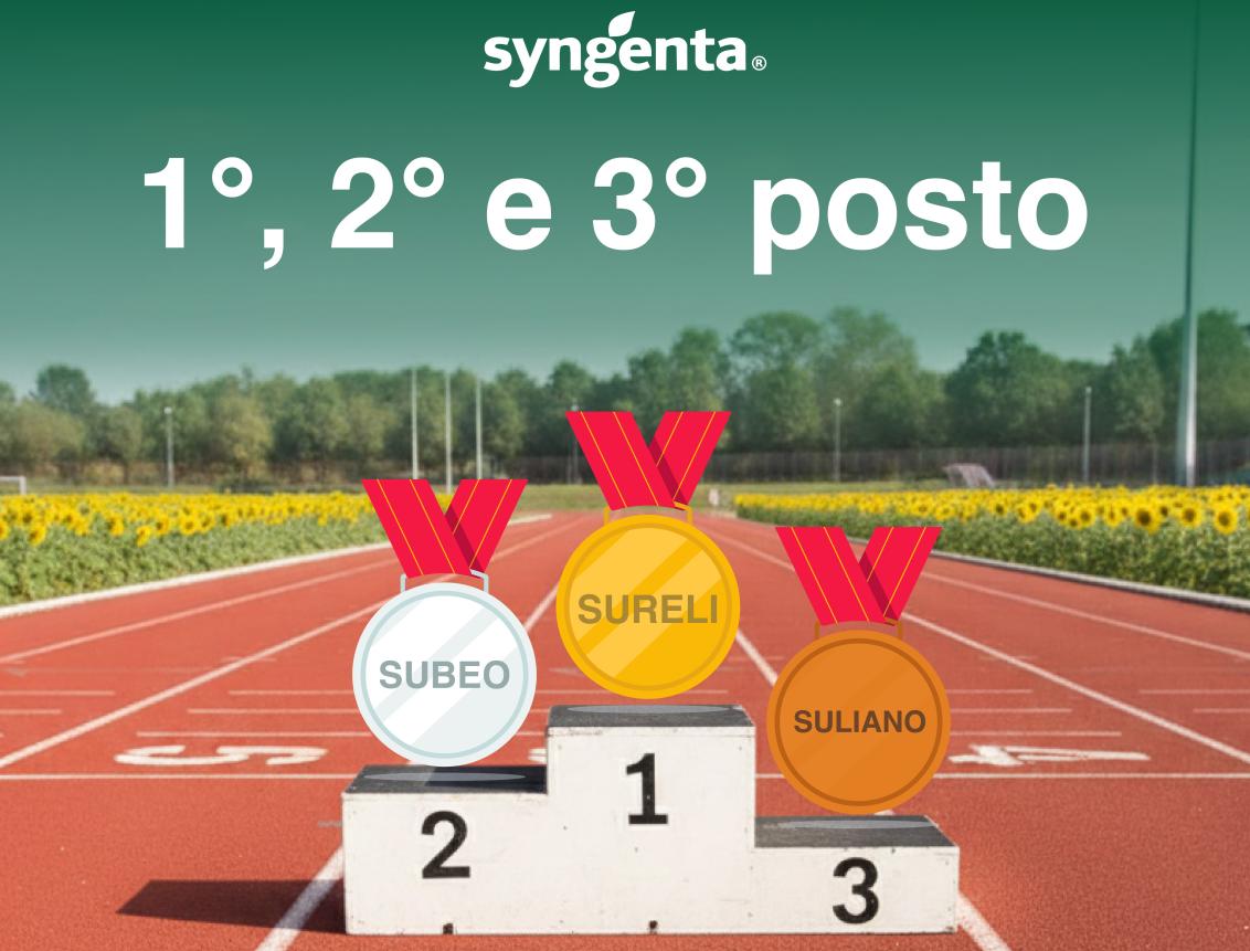prove crea girasole 2025 e 2026: primo secondo e terzo posto per Syngenta!