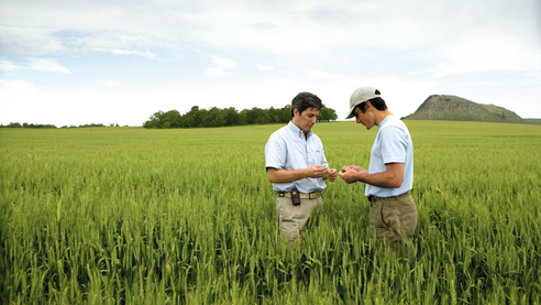 Two men examining crops with a tablet in a green field under a cloudy sky