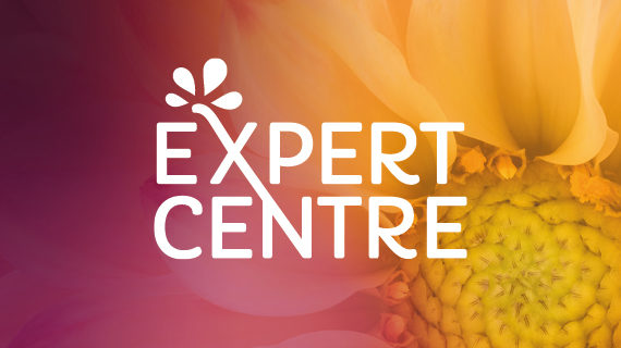 expert centre
