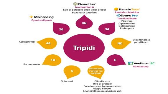 Gestione resistenze - Tripidi