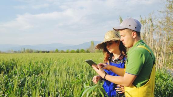 agricoltori lettura tablet
