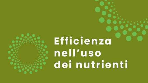 Efficienza nell’uso dei nutrienti
