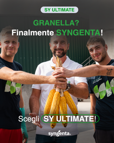 granella syngenta