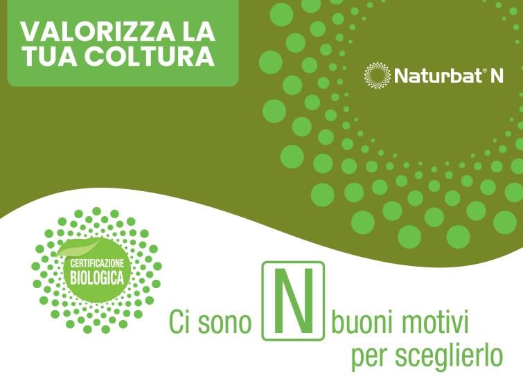 blocco naturbat