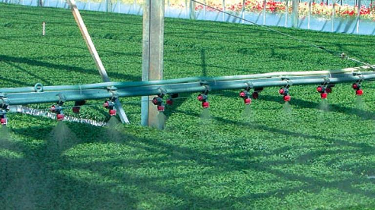 agrofarmaci 492x278