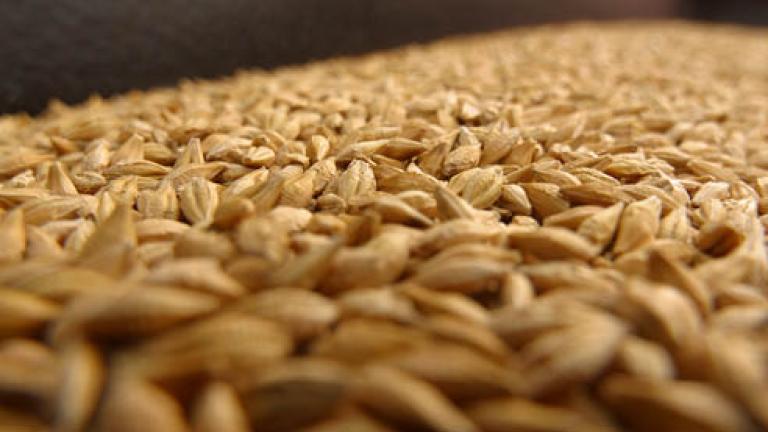 sementi 492x278