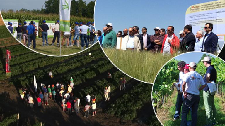 news eventi 492x278