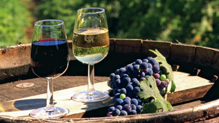 protocolli filiera vinicola 492x278 16431