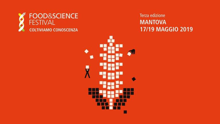 mantova 2019