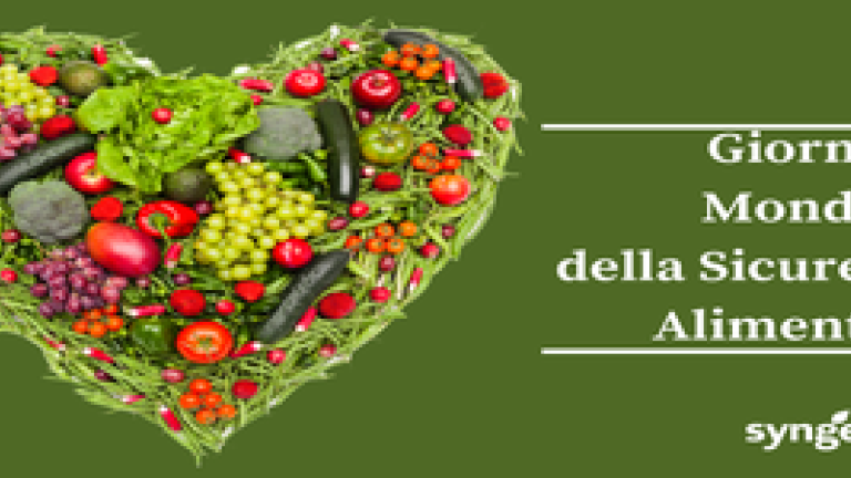 giornata sic alimentare def 1 2