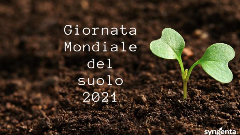 immagine 750