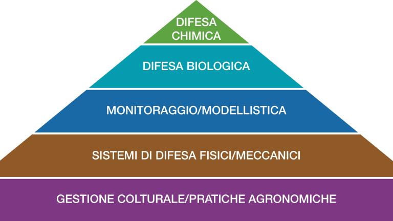 piramide difesa integrata