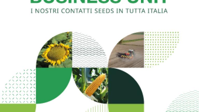 Syngenta Seeds