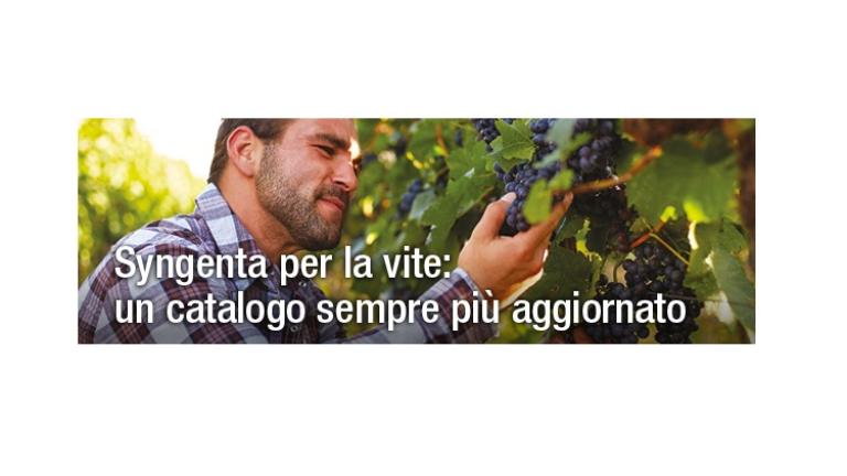 Syngenta Gamma vite 2023 750x480
