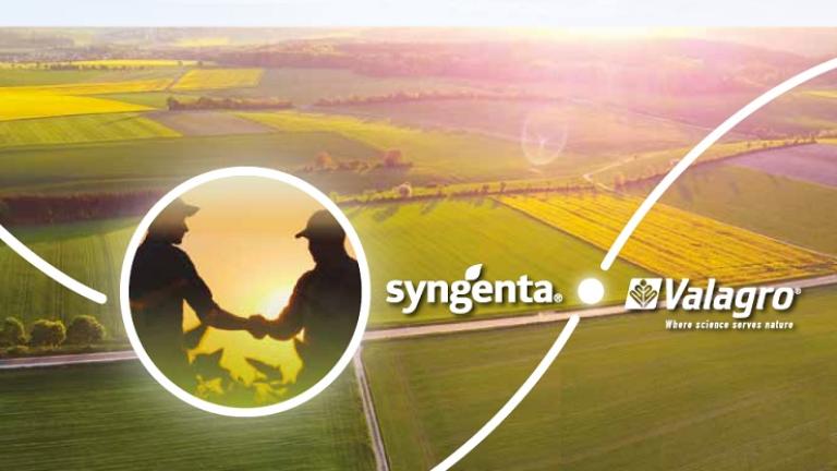 prove in campo syngenta valagro