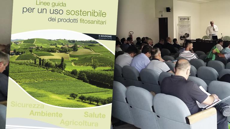 formazione 2