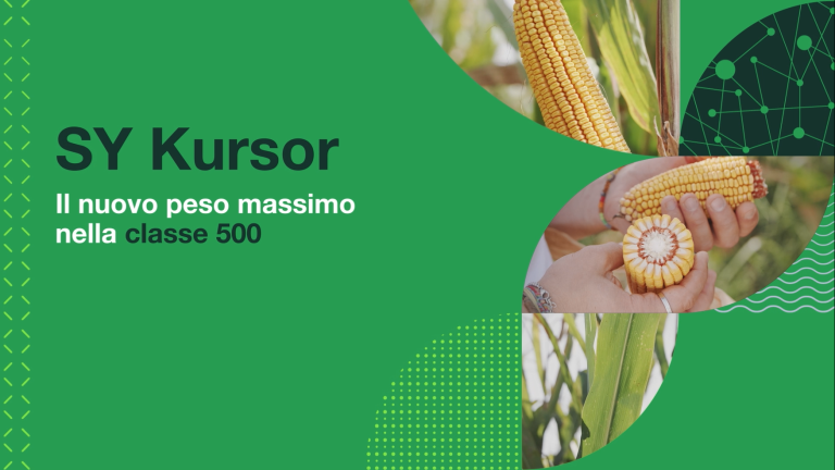 kursor - caratteristiche