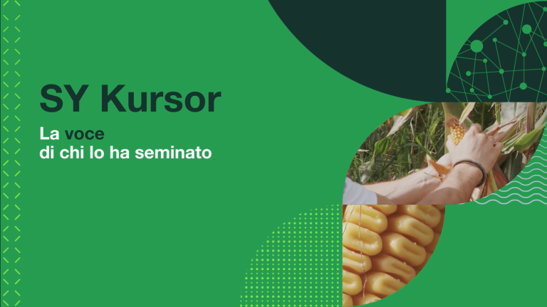 kursor - testimonianze